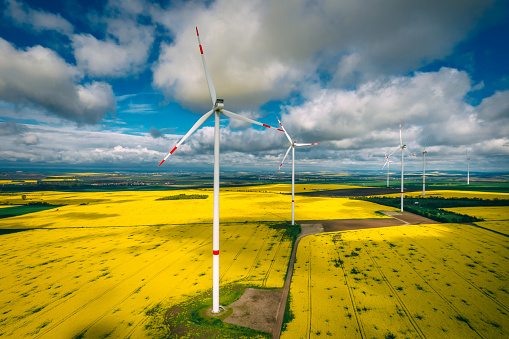 Vista aérea de turbinas eólicas y campo de canola amarilla en flor photo