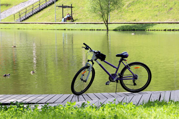 istock Bicycle parked on the lake shore with ducks 1321328447