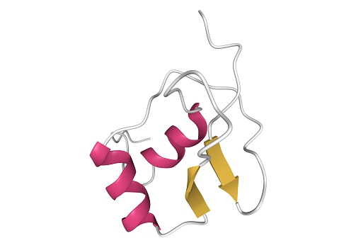 Sin3A-associated protein, 30kDa, also known as SAP30, is a protein that in humans is encoded by the SAP30 gene. 3D cartoon model with the differently colored secondary structure elements, white background.