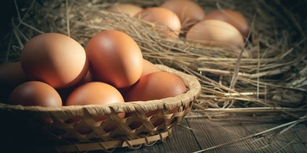 istock Fresh brown chicken eggs in a basket and in a nest from hay in a barn 1321330984