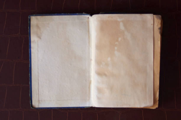 istock distressed vintage open book with blank pages with copy space 1321331110