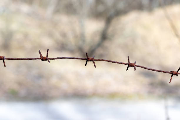 Rusty old metal barbed wire against blurred background