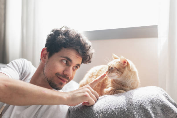 istock young man under the window strokes the muzzle of a brown tabby cat. close up 1321331297