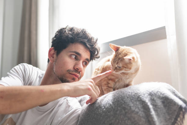 istock young man under the window strokes the muzzle of a brown tabby cat. close up 1321331300