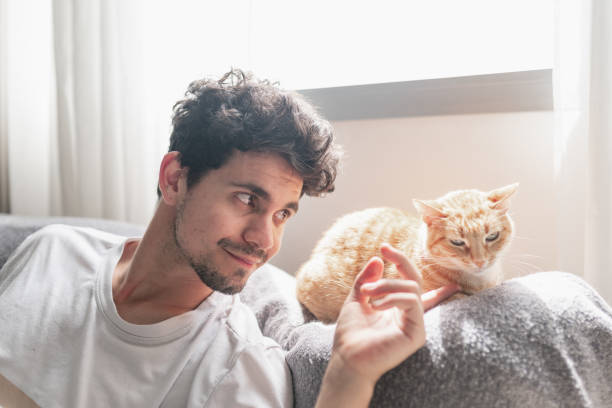 istock young man under the window strokes the muzzle of a brown tabby cat. close up 1321331318