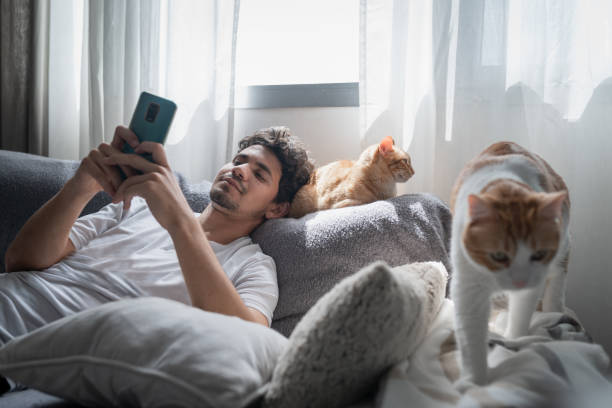 istock young man lays his head on the back of a brown tabby cat lying on the sofa, while using his cellphone 1321331327