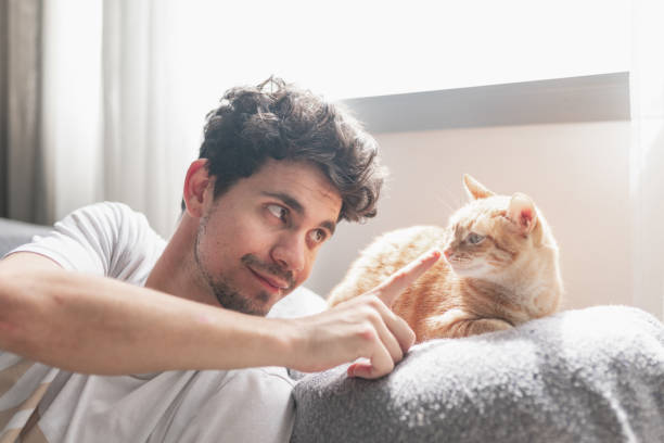istock young man under the window strokes the muzzle of a brown tabby cat. close up 1321331341