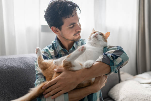 istock young man holds a brown and white cat in his arms 1321331357