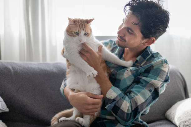 istock young man holds a brown and white cat in his arms 1321331358