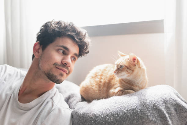 istock young man under the window and brown tabby cat, look at each other. close up 1321331359