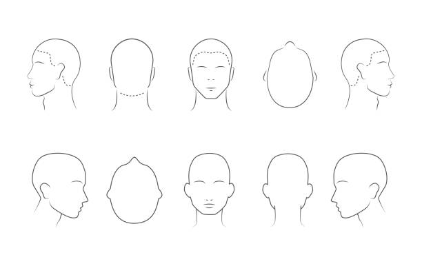 Head guidelines for barbershop, haircut salon, fashion. Lined human head in different angles isolated on white background. Adult human outline faces. Set of 10 human head icons. Vector illustration Vector illustration human head stock illustrations