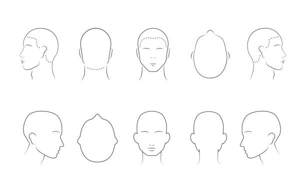 hướng dẫn đầu cho tiệm cắt tóc, tiệm cắt tóc, thời trang. lót đầu người ở các góc khác nhau được cô lập trên nền trắng. khuôn mặt phác thảo của con người trưởng thành. tập hợp 10 biểu tượn - mặt đầu người hình minh họa hình minh họa sẵn có