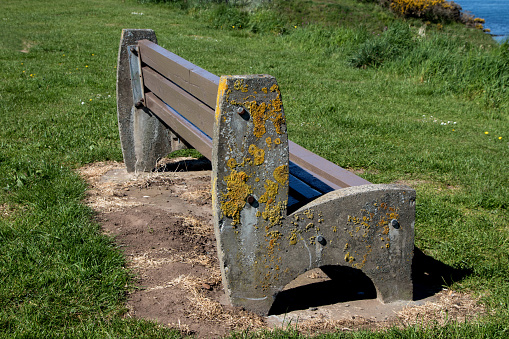 Old Algae Covered Bench at a Coastal Location