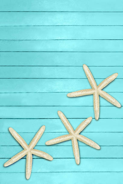 istock Aquamarine, turquoise, blue boards. Summer, sparing background. Pier, beach, marine. Copy space 1321338419