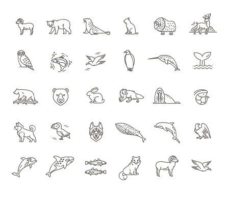 Line arctic wildlife concept with different north animals . Vector