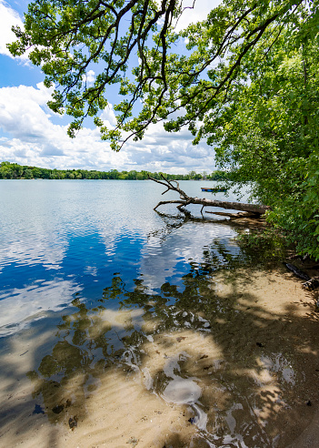 A vertical crop of a Wisconsin Lake (Lower Genesee Lake in Waukesha County).  A swimming raft floats on the calm waters while cumulus clouds are reflected.