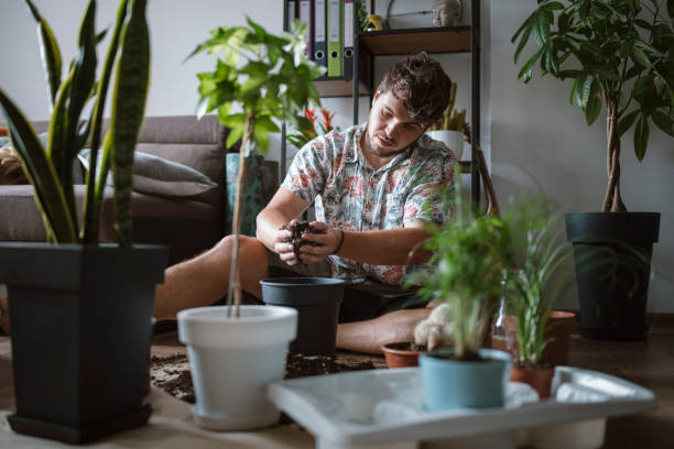 istock Young man planting flowers at home. 1321341771