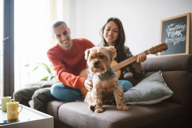 Young couple having a good time at home.