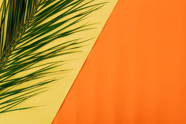 istock Orange and yellow background with palm leaf 1321342338