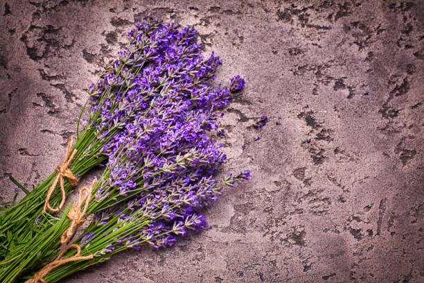 istock Lavender flowers on a gray concrete background with scratches 1321343294