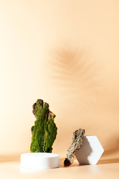 istock Empty podiums for product display on neutral color background 1321346025