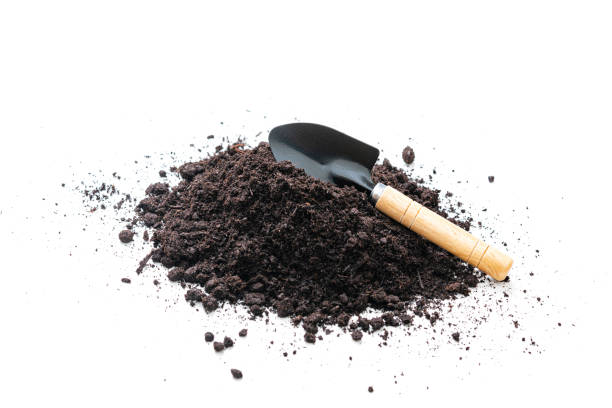 istock Gardening shovel on dirt heap on white background 1321347646