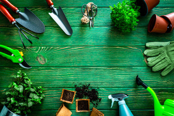 istock Set of gardening tools and plants frame. Copy space 1321348205