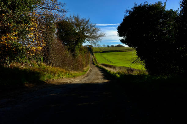 istock Country Roads 1321350057