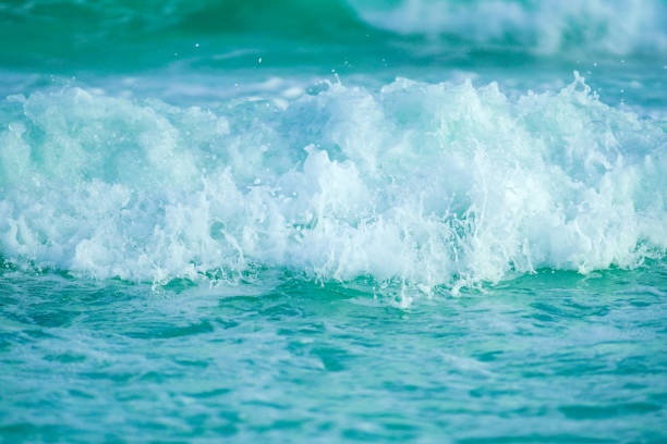 White sand beach, turquoise salt water, and sea wild life are part of the atractions you will see when visiting Navarre Beach, in Pensacola, Florida. This wonderful Travel destination at the Gulf of Mexico will amaze you.