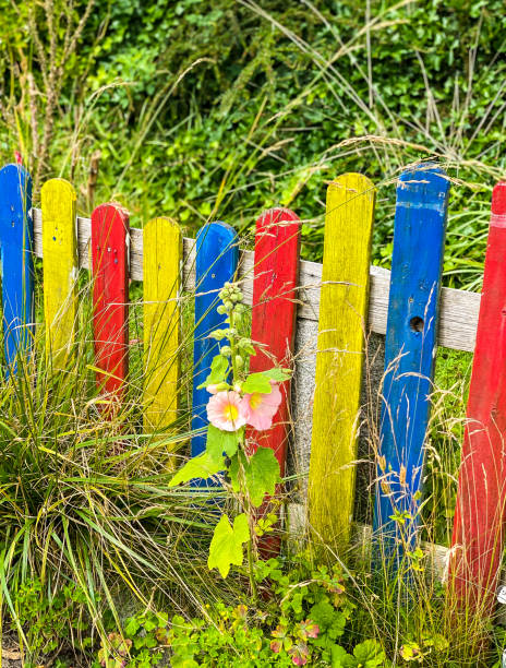 istock Romantic colorful garden fence 1321353673