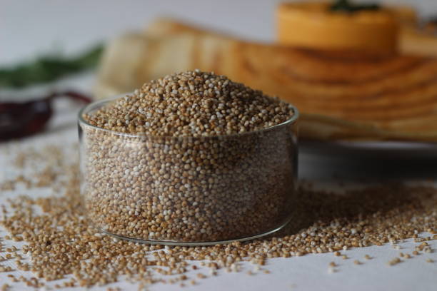 kodo millet, also known as cow grass, rice grass, native paspalum, or indian crown grass is an annual grain used for cooking in many parts of the world. - diabetes superfoods imagens e fotografias de stock