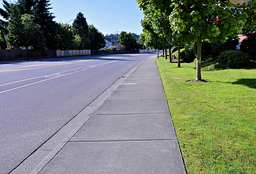 A clear view of an empty sidewalk sandwiched between a public street and a green strip lawn grass area with a few maple trees as part of a residential living complex.