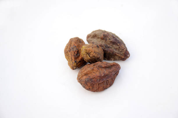 istock bunch the brown drilled ha-rad fruit isolated on white background. 1321357619