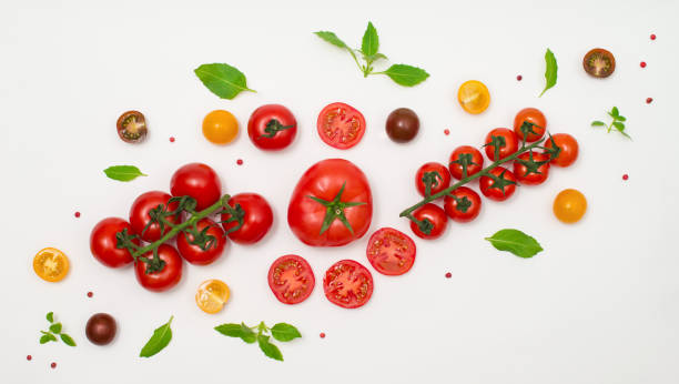 istock Different kind of tomato and basil creative layout. Various colorful tomatoes and basil leaves on white background. 1321363575