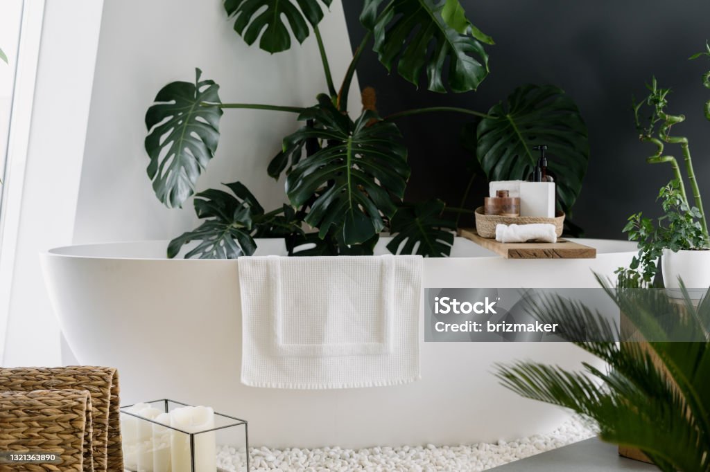 Bohemian chic bathroom with green plants near tub Modern white bathtub with towel and wooden shelf for beauty products. Bohemian design in bathroom decorated with green tropical plants and other natural home decor elements Plant Stock Photo Bohemian chic bathroom with green plants near tub Modern white bathtub with towel and wooden shelf for beauty products. Bohemian design in bathroom decorated with green tropical plants and other natural home decor elements Plant Stock Photo