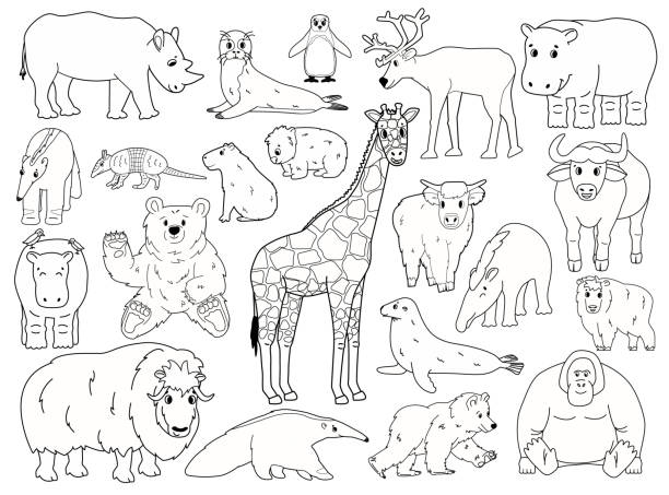 illustrations, cliparts, dessins animés et icônes de ensemble d’animaux griffonnage. dessin animé vectoriel isolé illustration graphique dessinée à la main. girafe ours orang-outan bœuf rhinocéros wombat highland cow seal tapir fourmilier yak hippo capybara pingouin tatou - zoo animal safari giraffe