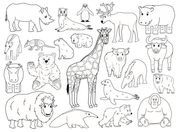 zestaw doodle zwierząt. wektor zarys kreskówki izolowane graficzne ręcznie rysowane ilustracji. żyrafa niedźwiedź orangutan wół rhino wombat góralska krowa pieczęć tapir mrówkojad yak hippo capybara pingwin armadillo - animal animal themes tropical rainforest cartoon stock illustrations