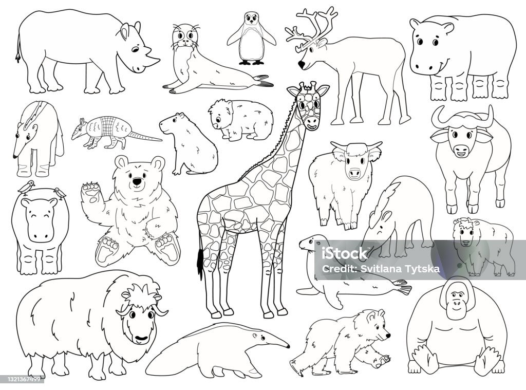 Vetores de Arte Desenhada À Mão Animal Estilo Desenho Animado Fofo e mais  imagens de Capivara - iStock
