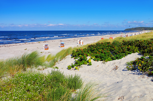 Hiddensee sandy beach in summer, Germany