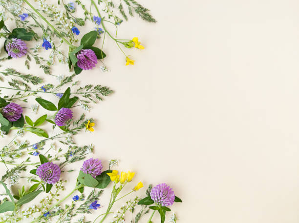 istock Mix of wildflowers on beige background with copy space. 1321370348