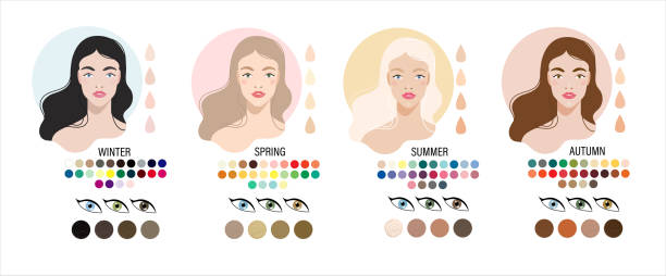 Type of appearance. Four caucasian women appearance type - winter, spring, summer, autumn. Types of skin color or appearance color type. Four caucasian women appearance - winter, spring, summer, autumn. Fashion guide chart with analysis of color type, skin type, hairs, eyes, makeup palette skin tone chart stock illustrations