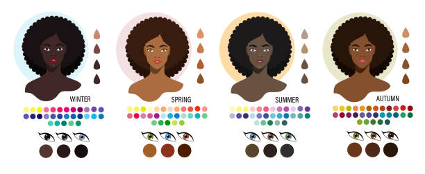 Types of appearance. Four black women appearance type - winter, spring, summer, autumn. Black women color type appearance winter, spring, summer, autumn. Four types of skin color set. Fashion guide chart with analysis of color type, skin tone, hairs, eyes, makeup palette. Vector skin tone chart stock illustrations