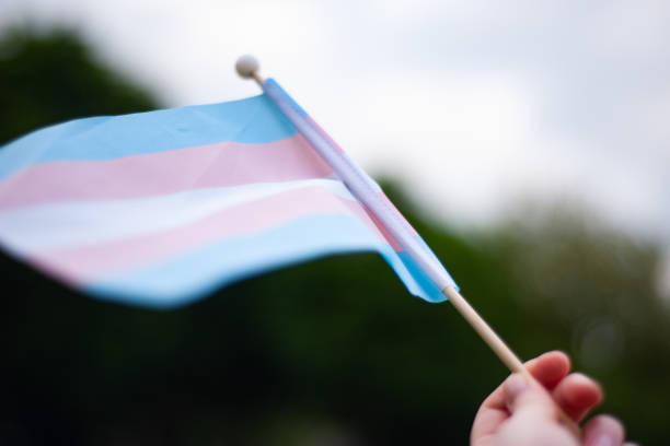 istock hand holds up transgender pride flag against sky 1321374839
