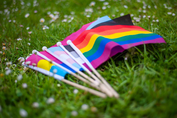 istock LGBTQIA pride flags in the grass and daisies 1321374845