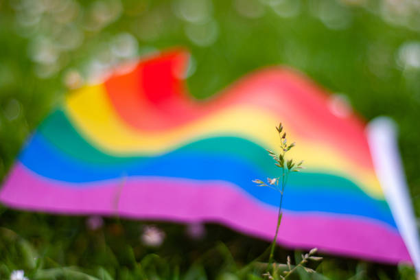 istock Rainbow LGBTQIA pride flag with plant in front 1321374850
