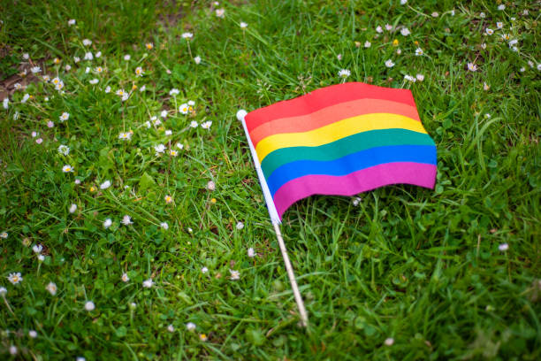 istock Rainbow LGBTQIA pride flag in grass and daisies 1321374872