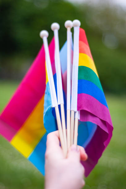 istock Hand holds a collection of small LGBTQIA pride flags 1321374879