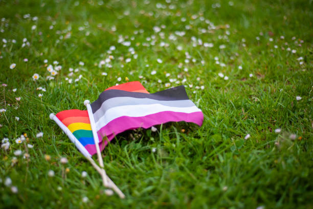 istock Rainbow LGBTQIA pride flag and asexual pride flag in grass and daises 1321374897