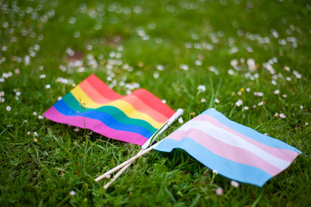 Rainbow LGBTQIA pride flag and transgender pride flag in grass and daises The rainbow LGBTQIA pride flag and the transgender pride flag together, lying in the grass intertwined. lgbtqia pride event photos stock pictures, royalty-free photos & images