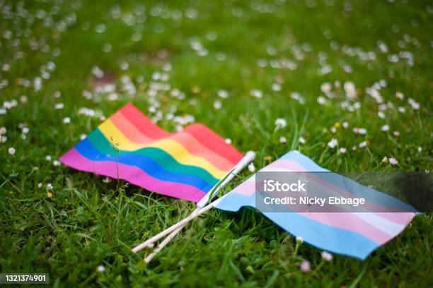 Rainbow Lgbtqia Pride Flag And Transgender Pride Flag In Grass And Daises Stock Photo - Download Image Now